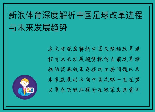 新浪体育深度解析中国足球改革进程与未来发展趋势